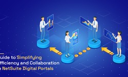 A Beginner's Guide to NetSuite Digital Portals - OpenTeQ