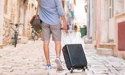 Dynamics of the Travel Bag Market: Trends and Insights
