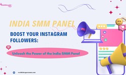 Elevate Your Instagram Following: Harnessing the Potential of India's SMM Panel