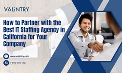 How to Partner with the Best IT Staffing Agency in California for Your Company