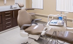 Toronto Dental Wellness: Your Smile Matters