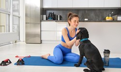 Unleashing Mobility: A Comprehensive Guide to Dog Physical Therapy