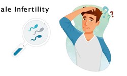 Unveiling Male Infertility Solutions: Insights from Dr. Vijay Pal Singh