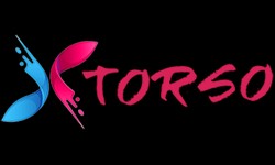 Exploring the Popularity of Torso Sex Dolls