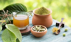 Kratom Tea Study Sparks Optimism For Opioid Dependence Treatment