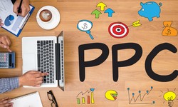 Amazon PPC or Bust: Real Stories of Success and Failure