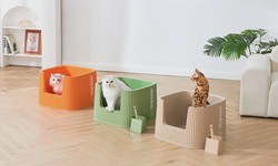 Exclusive Sneak Peek: The Next Big Thing in Cat Litter Boxes!