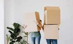 Moving Made Easy: Top-rated Moving Companies in New York