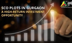 SCO PLOTS IN GURGAON- A HIGH-RETURN INVESTMENT OPPORTUNITY