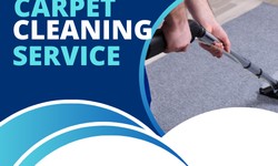 Revitalize Your Space with Professional Carpet Cleaning in Potts Point