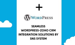 Unlock the power of seamless integration between your WordPress website and Zoho applications with SNS System.
