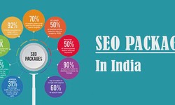 The Impact of Ecommerce SEO Packages in India on Website Rankings