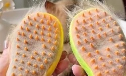 How a Steam Brush Can Transform Your Cat's Coat