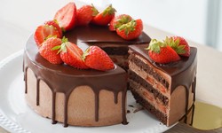 Exploring the Delicious World of Chocolate Cakes