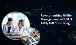 Revolutionizing Utility Management with XUS AMR/AMI Consulting