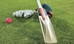 The Cricket Cauldron Heats Up: Tiger Exchange and Lotus365 Enter the Arena