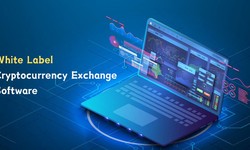 How to Choose the Best White Label Cryptocurrency Exchange Software