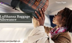 Your Go-To Guide: Lufthansa's Baggage Allowance Simplified