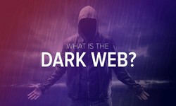 Inside bclub.cm: Navigating the Dark Web's Marketplace