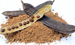 The World on a Plate: Carob Powder and the Globalization of Ethnic Food Companies
