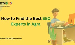 How to Find the Best SEO Experts in Agra