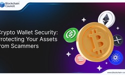 Crypto Wallet Security: Protecting Your Assets from Scammers