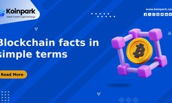 Blockchain Facts in simple terms