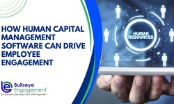 How Human Capital Management Software Can Drive Employee Engagement