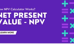Unveiling the Net Present Value Calculator: Your Ultimate Guide