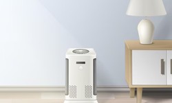 How Air Purifiers Can Alleviate Allergic Sinusitis: A Comprehensive Guide