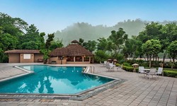 Paws and Paradise: Pet-Friendly Resorts in Jim Corbett