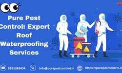 Exploring the Importance of Pest Control: What You Should Understand