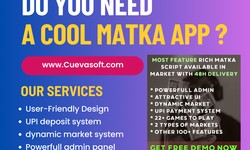 Matka Website Development: Empowering Your Online Gaming Platform