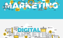 Career Fortune: Your Partner in Digital Marketing Success
