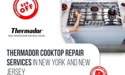 Cooking with Confidence: Why Timely Cooktop Repair Matters