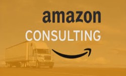 What Strategies Do Expert Amazon Consulting Services Utilize for Success?