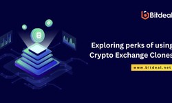 Unlocking Efficiency: Benefits of Ready-Made Clone Solutions for Crypto Exchange Launch