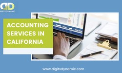Digits Dynamic's Premier Accounting Services in California