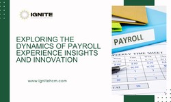 Exploring the Dynamics of Payroll Experience Insights and Innovations