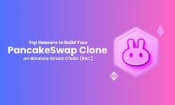 Top Reasons to Build Your PancakeSwap Clone on Binance Smart Chain (BSC)