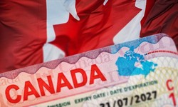 Everything You Need to Know About Applying for a Canada Visa as a Seychelles Citizen