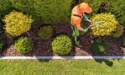 Maintaining Your Garden with Landscape Services in Riyadh