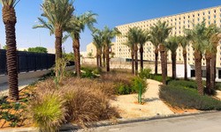 What are the best marketing strategies for a landscape company in Riyadh