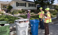 Efficient Green Waste Pick Up Services: Keep Your Environment Clean