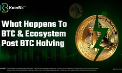 What happens to BTC & ecosystem post BTC halving