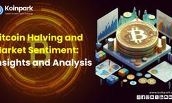 Bitcoin Halving and Market Sentiment: Insights and Analysis