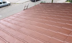 Factors To Be Considered Before Choosing Roof Moss Removal Company