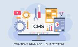 A Guide to content management system (CMS)