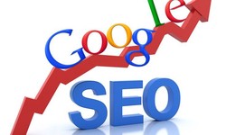 Unlock Growth Opportunities: Tap into Faridabad's SEO Services for Lasting Success