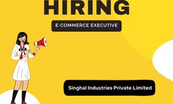 Start Your Journey: E-commerce Executive Jobs in Ahmedabad Await Applicants